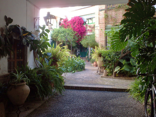 Patio Garden.